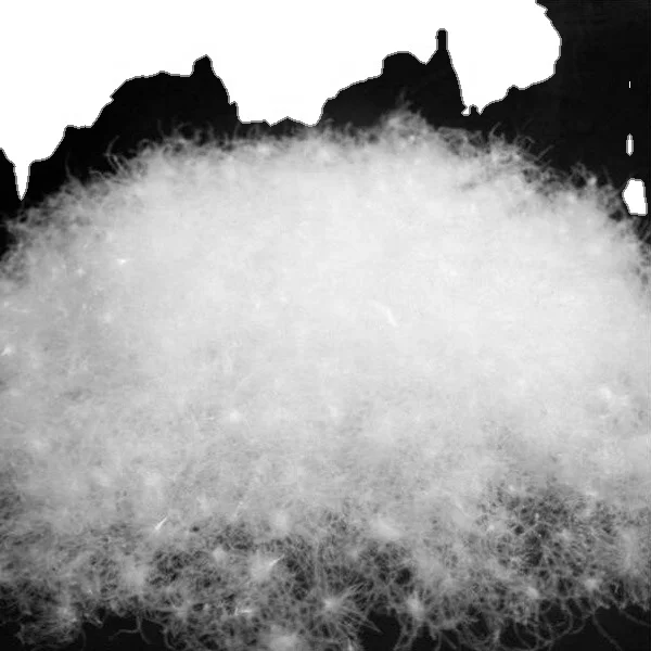 Оптовая продажа, белое гусиное перо для наполнения, 2-4 см/4-6 см