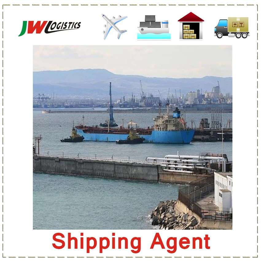 International Logistics Sea Freight To Egypt Sea Freight To Egypt From Door To Door