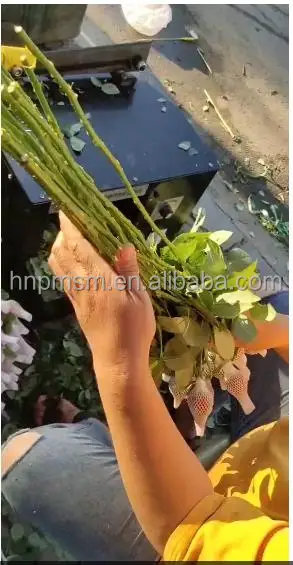 Высококачественные шипы розы широко используемая машина для резки
