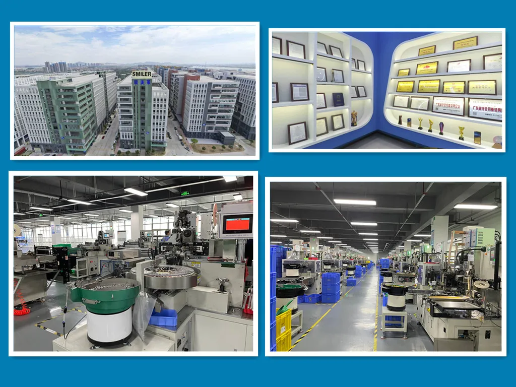 Company profile