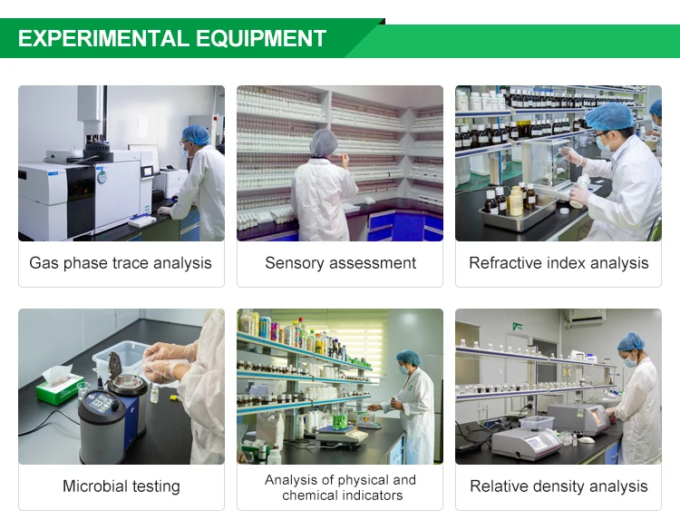 Original manufacturer Outlet Plant Extract Fragrances New And Original Mint Flavor