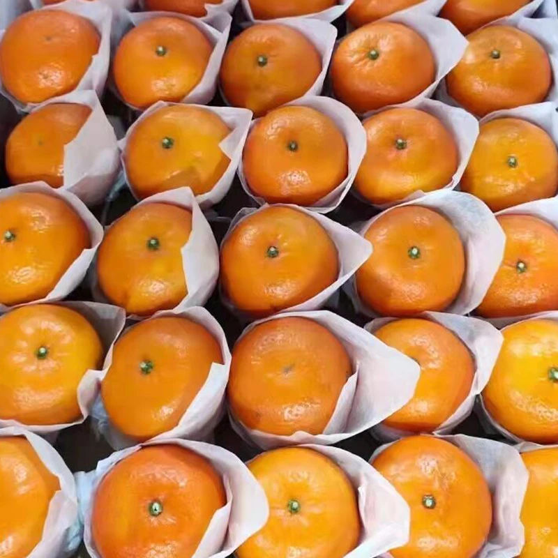 Горячая Распродажа свежих фруктов FreshWokan мандарин оранжевый цена
