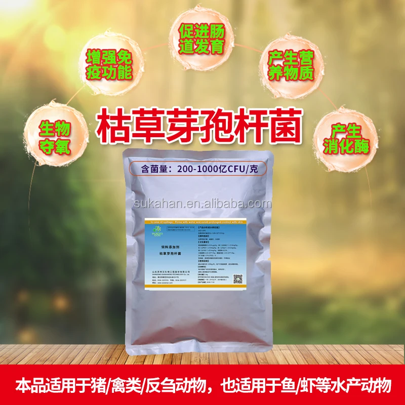 Multi-functional probiotic bacteria - Bacillus subtilis