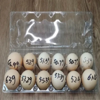 Wholesale Chicken Egg Holder Clamshell Chicken Egg Tray Transparent Plastic 6 8 12 15 16 30 Holes PET Agriculture