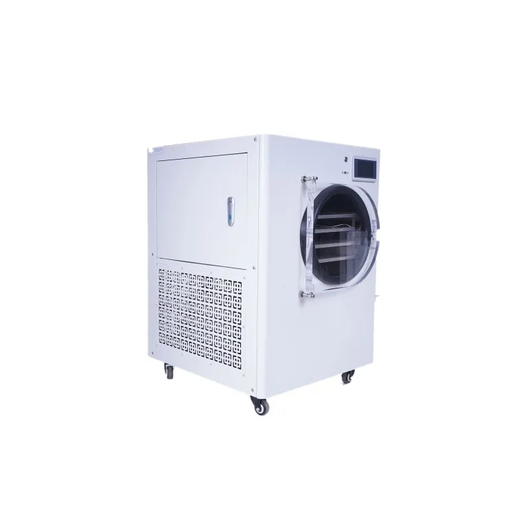 Freeze Dry Machine Vacuum Dryer Price