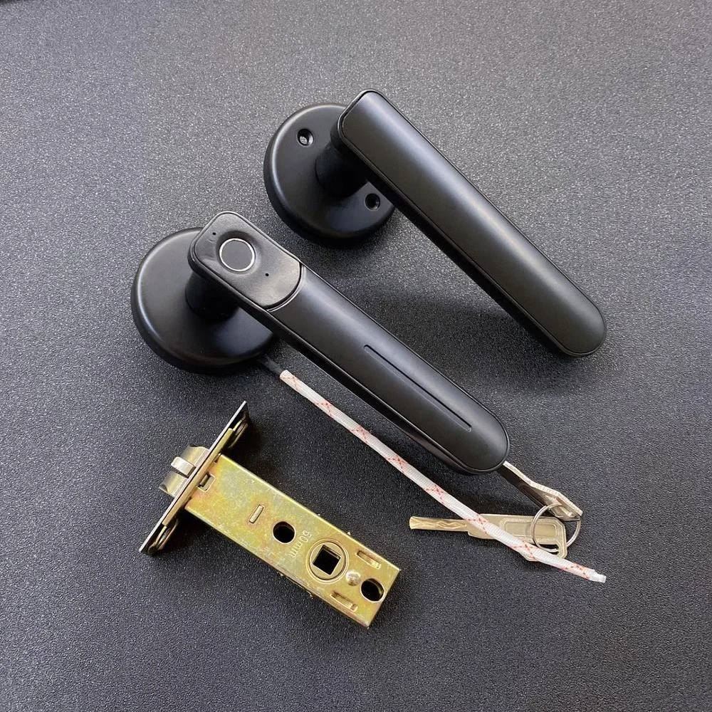 Quick Unlock Smart Lever  Handle Fingerprint Door Handle