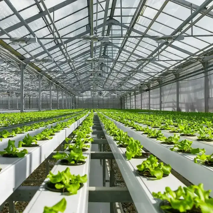 NFT hydroponic growing systems greenhouse complete hydroponic for strawberry hydroponic growing systems