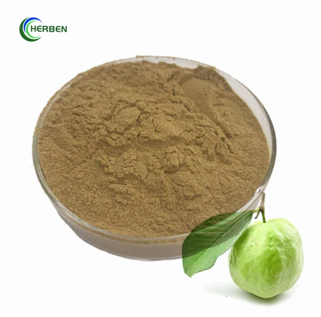 guava leaf extract powder