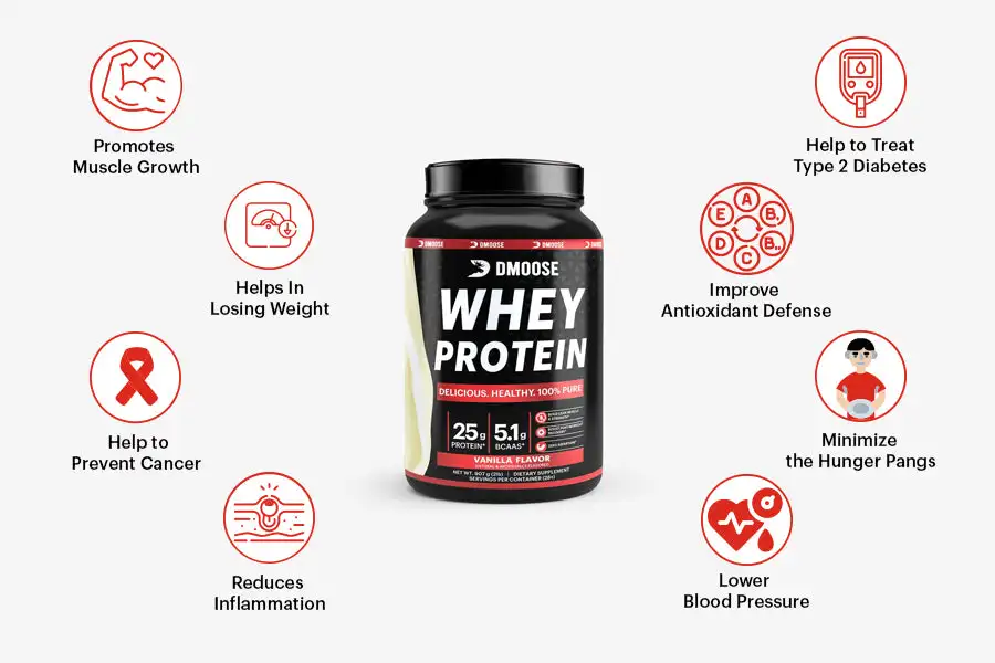Private Label Whey Isolate Protein Powder 100% Whey Protein Powder Bulk
