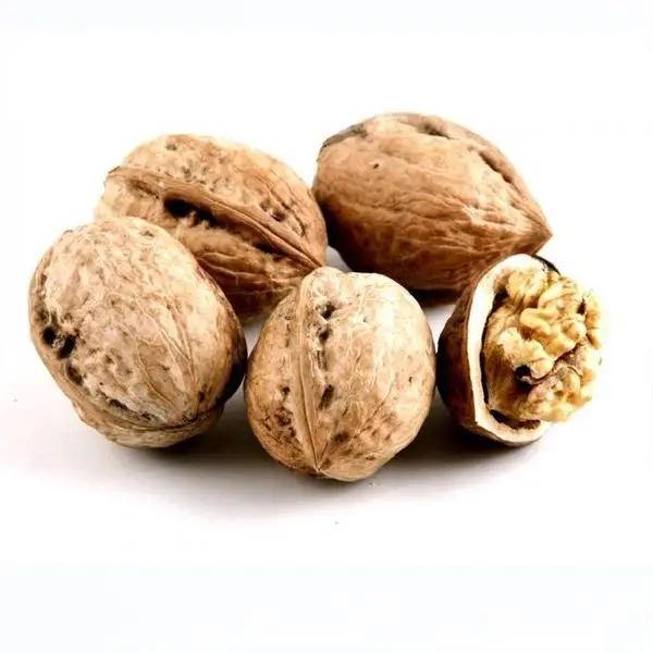 
Dried Walnuts Kernels / Walnut in shell 