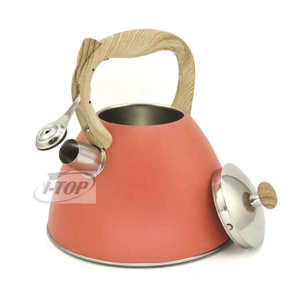 Kitchenware new style tea pot stainless steel coffee  kettle set