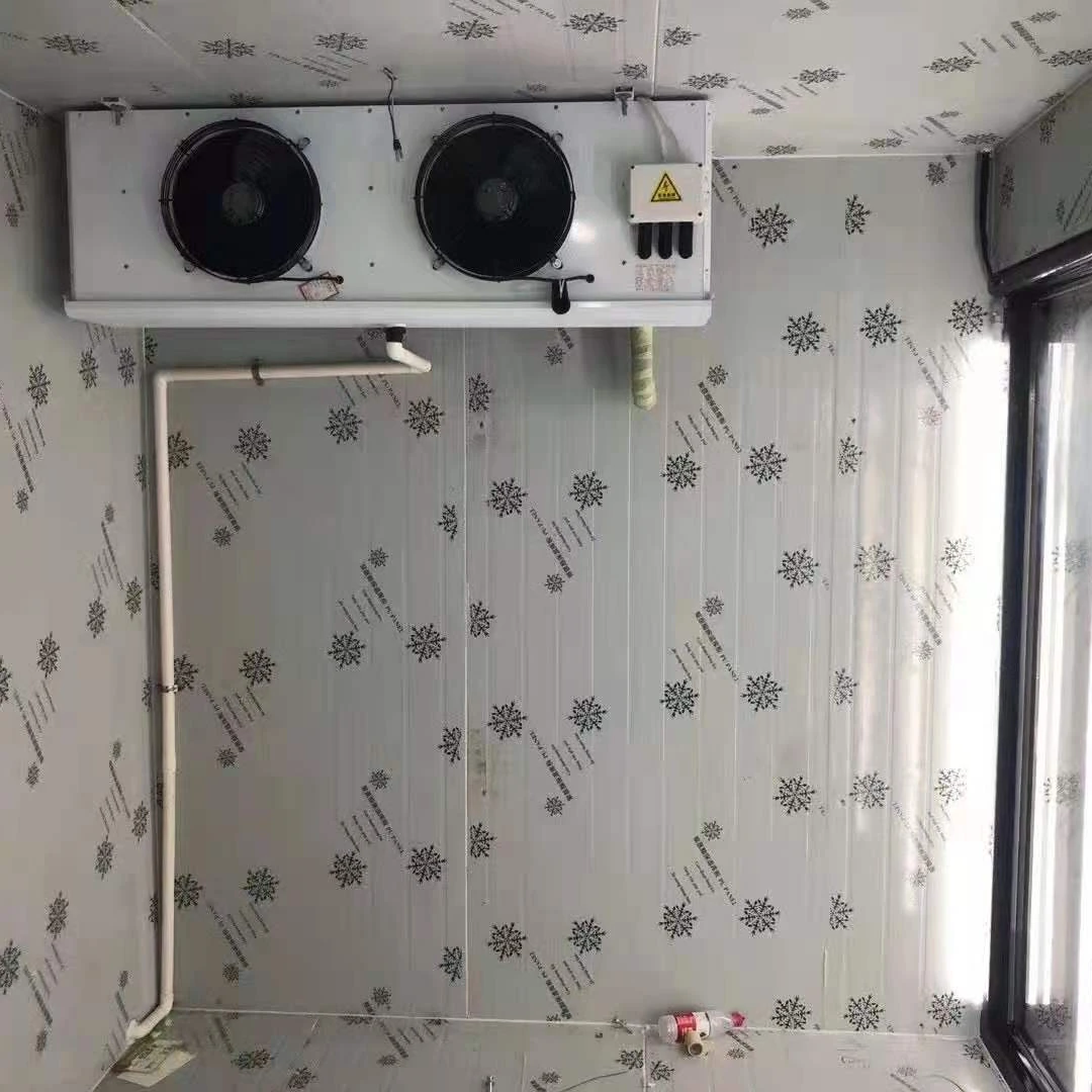 40ft Container Cold Freezer   Meluck