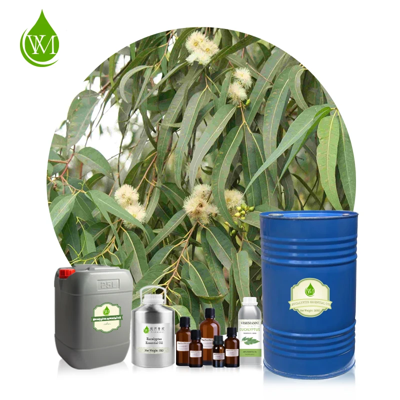 Wholesale Price Eucalyptus Essential Oil New for Cosmetics/massage Eucalyptus Oil Pure Skin Care Product Breast Firming Products