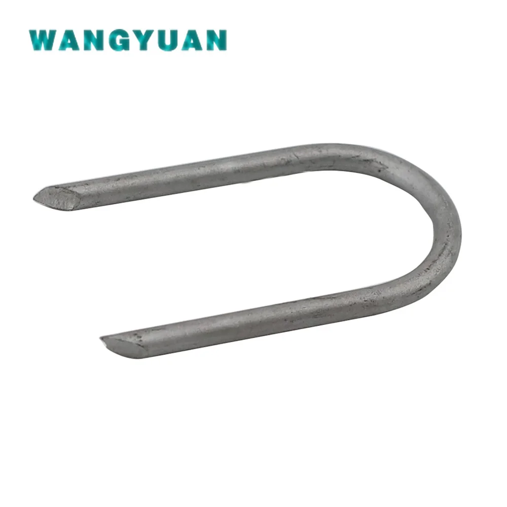 
Galvanized U type staple iron nail 