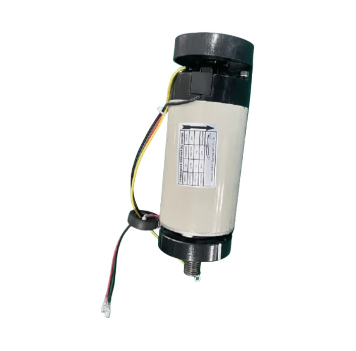 Treadpace Industrial Permanent Professional Permanent Magnet Motor Permanent Magnet Dc Motor for Treadmills