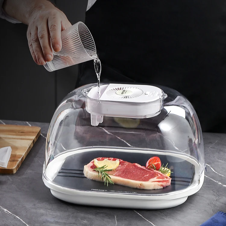 2022 New Defrosting Box  With Meat Defrosting tray Kitchen Product Meat Defrosting Machine Quickly Thawing
