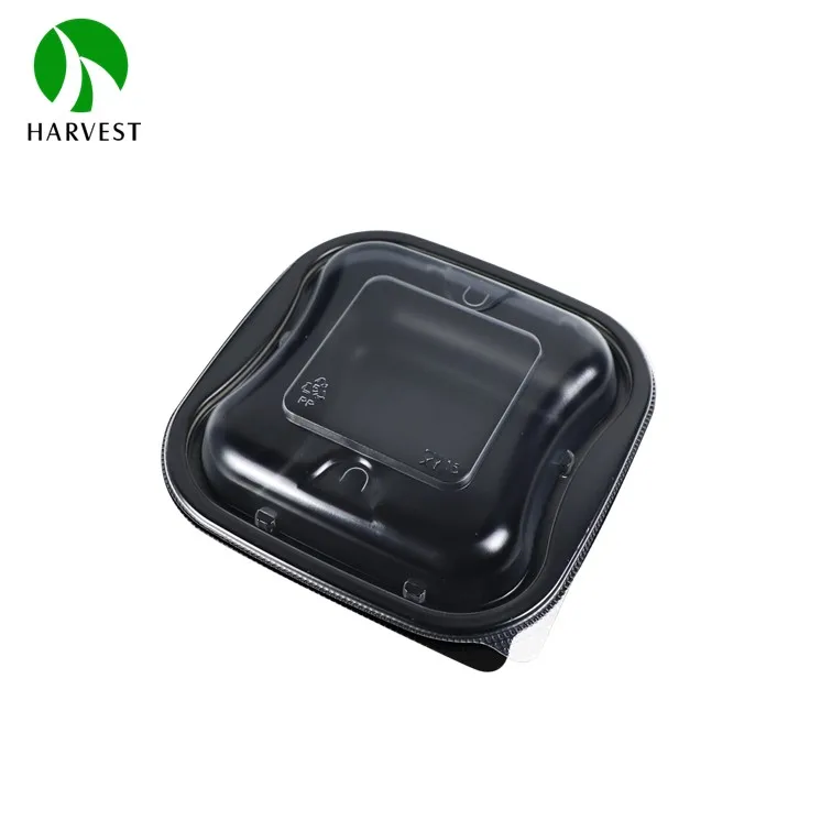 Square Plastic Disposable 6 Inch Food Packaging Container For take out
