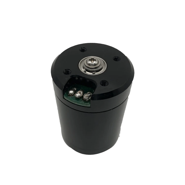 SUBFF Latest Design Electric DC 24V 48V  BLDC Motor Used for Boat Black High Power 500W For Rov Subsea