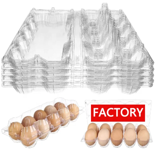 10 Holes Egg Box Chicken Egg Box Biodegradable Plastic Box Egg Trays Plastic For Grocery