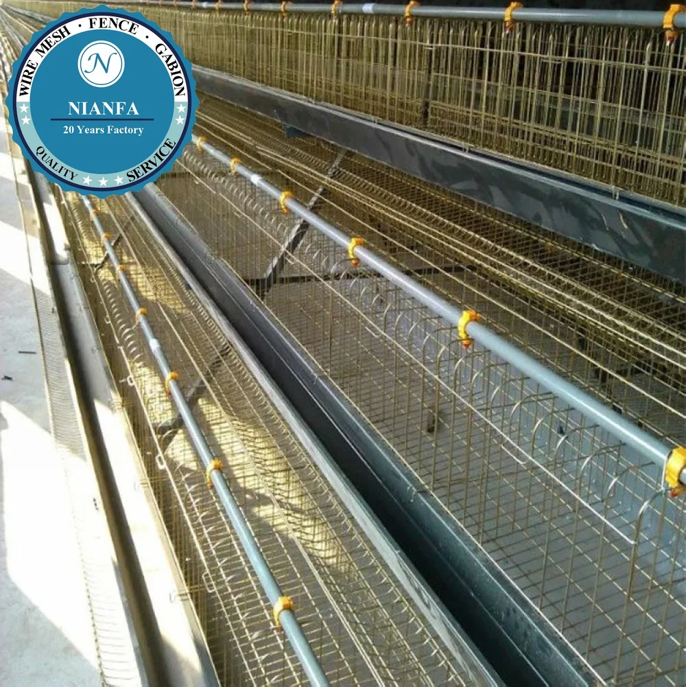 A Type 120 128 160 Birds Capacity Egg Layer Chicken Cage for South Africa Kenya