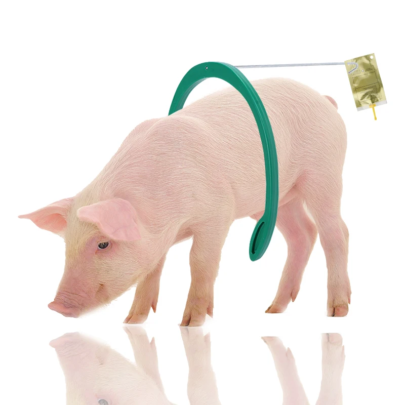 Pig breeding equipment with automatic sperm clamp for sow breeding frame