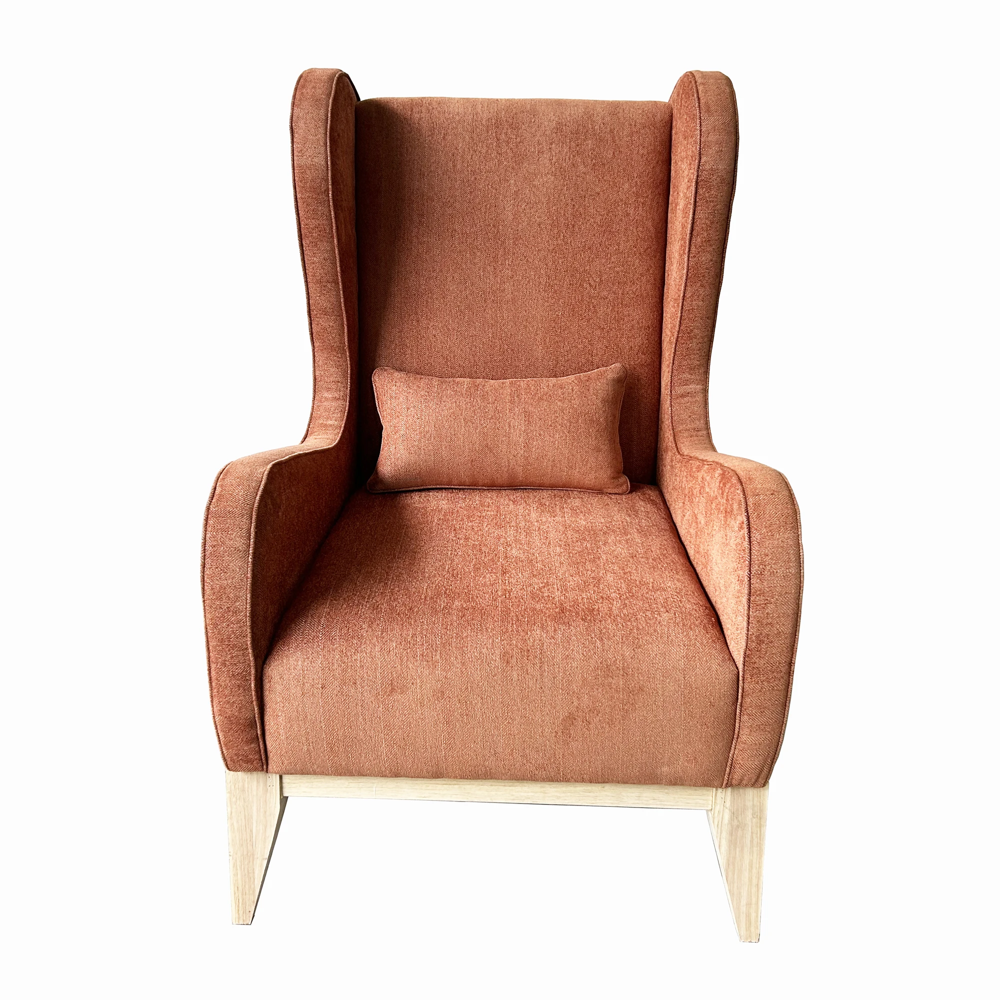 Luxury modern accent chair living room furniture home furniture sofa  velvet chair