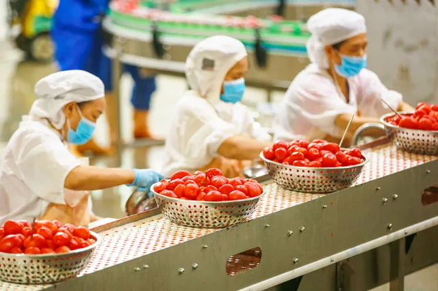 New season whole cherry tomatoes\tomato sauce tin tomatoes