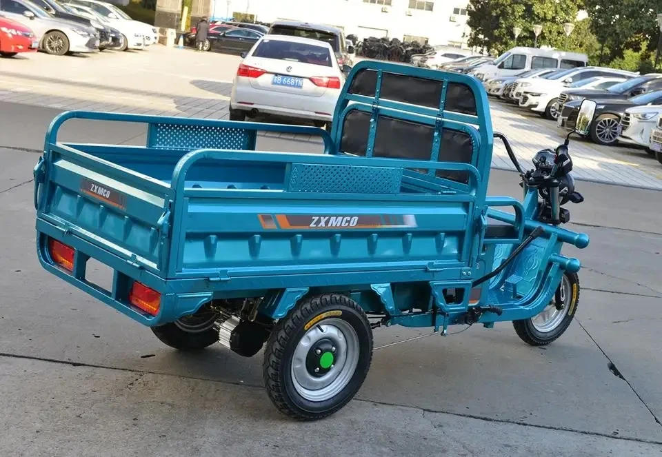 Powerfull 800W/1000W/1200W Tricycle Adult Electric Cargo Bike Trikes  Motored electric tricycle cargo Open