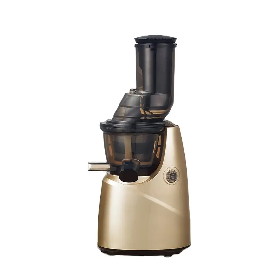 Amazon factory direct commercial Quiet Motor High Juice Yield Fruit Vegetables Cold Press Masticating Slow Juicer blender