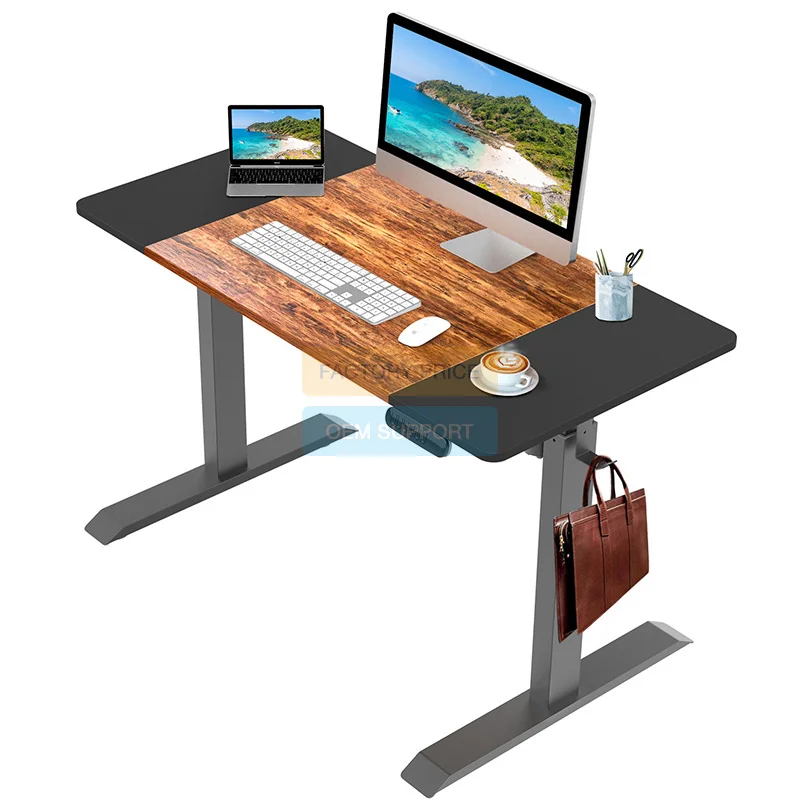 Amazon Hot selling Home Electric Height Adjusted Converter Gaming Desk Sit Stand Office Electric Standing Desk