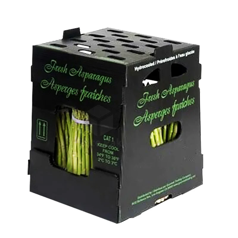Customized fresh fruits and vegetables pp plastic corrugated packaging box refrigerated transport turnover fresh-keeping box