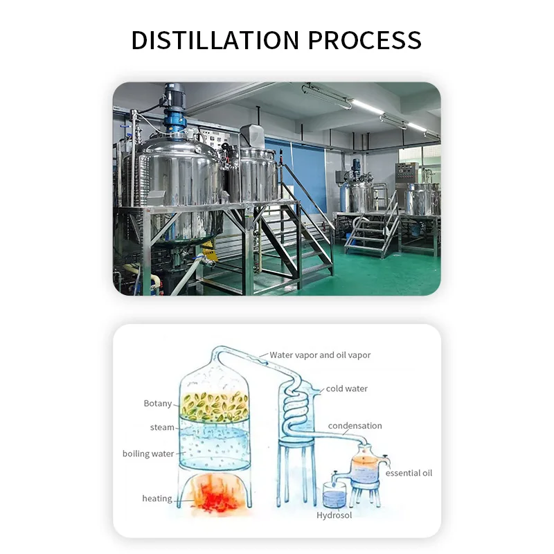 
100% Pure Vegan Cold Pressed Mustard Seed Essential Oil For Hair in Factory Price 