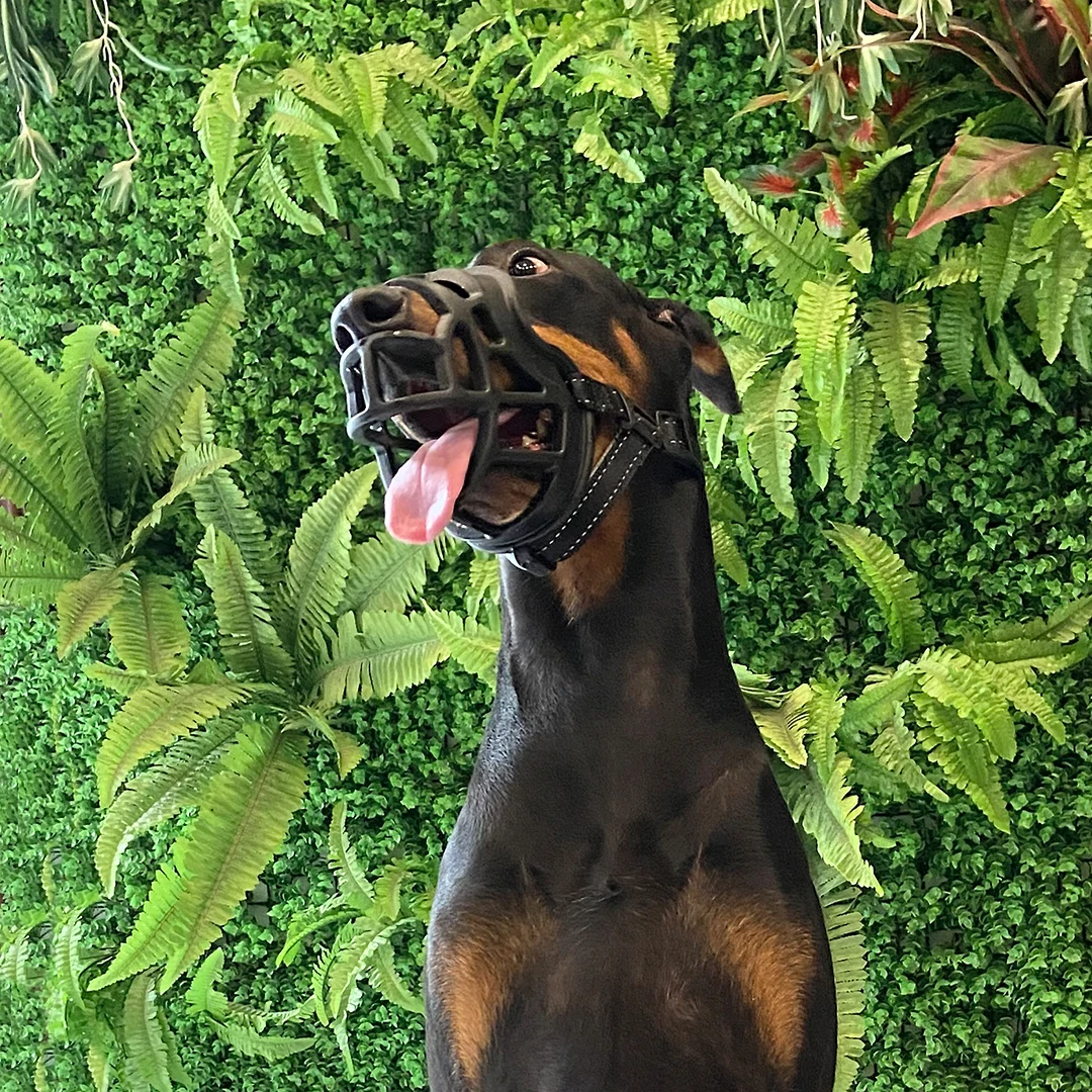 Factory OEM ODM anti biting stop chewing bark dog pet muzzle TPE and nylon dog muzzle