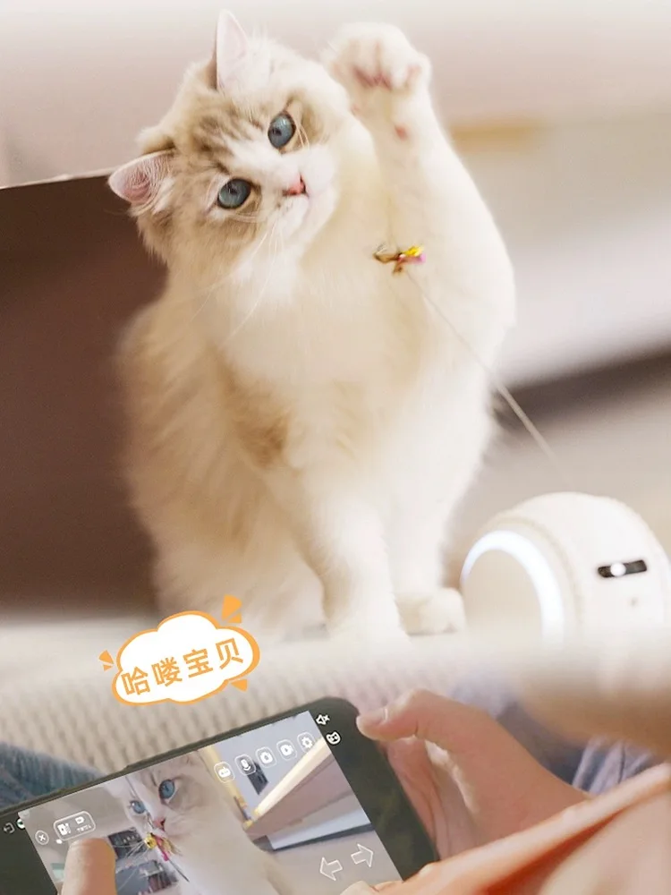 Intelligent AI Robot Interactive Rolling Ball FHD Camera Pet Toy for Cats Smart & Movement Interactive Pet  Companion Robot