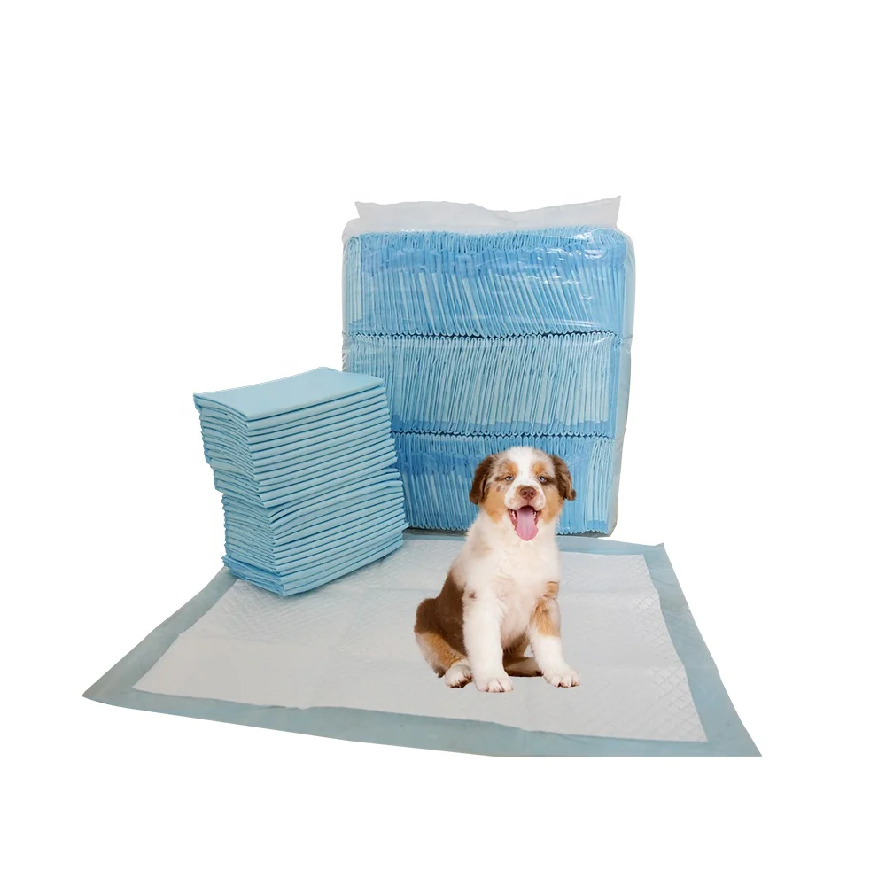 Qingdao D&R Hygienic dog and puppy training pads (40 pack) pet training and puppy pads pee pads for dogs 45x
