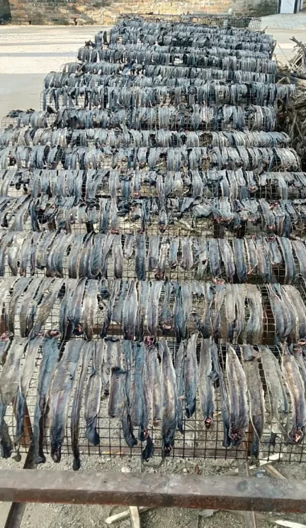 HOT-HOT Export Wholesale Dried Earthworm from Vietnam for Food Use Best Price Choice