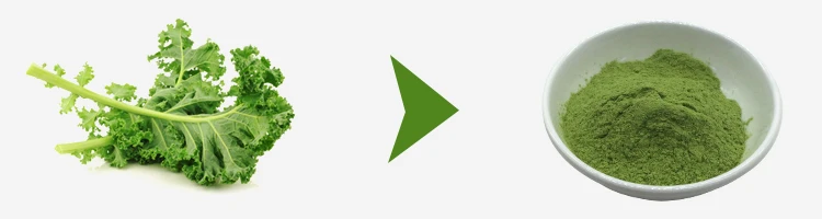 kale powder (2).jpg