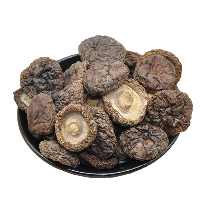 Best Price High Quality Natural Dried Magic Porcini Mushrooms Shiitake