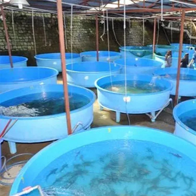Recirculation Aquaculture System Circulating Aquaculture Equipment