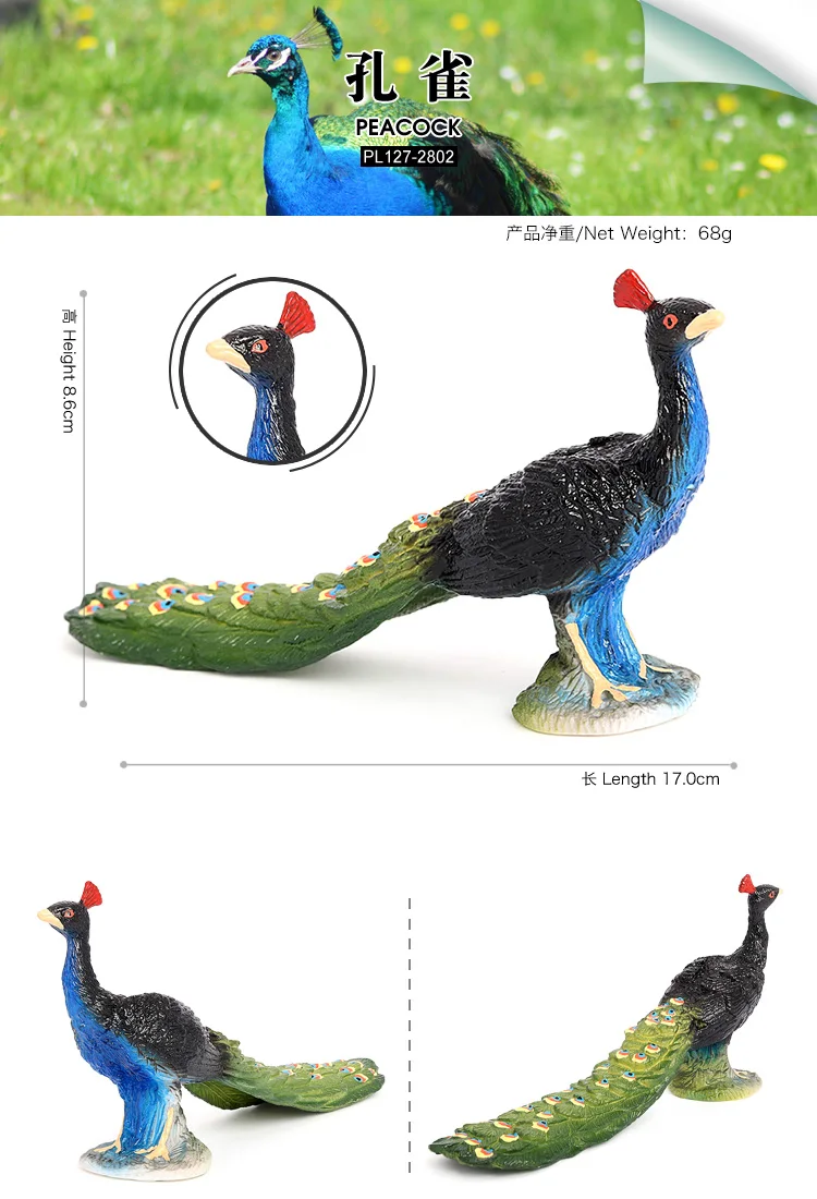 Wholesale Solid PVC Simulation Statue Model Big Peacock Bird Model Animal Figurines Toys