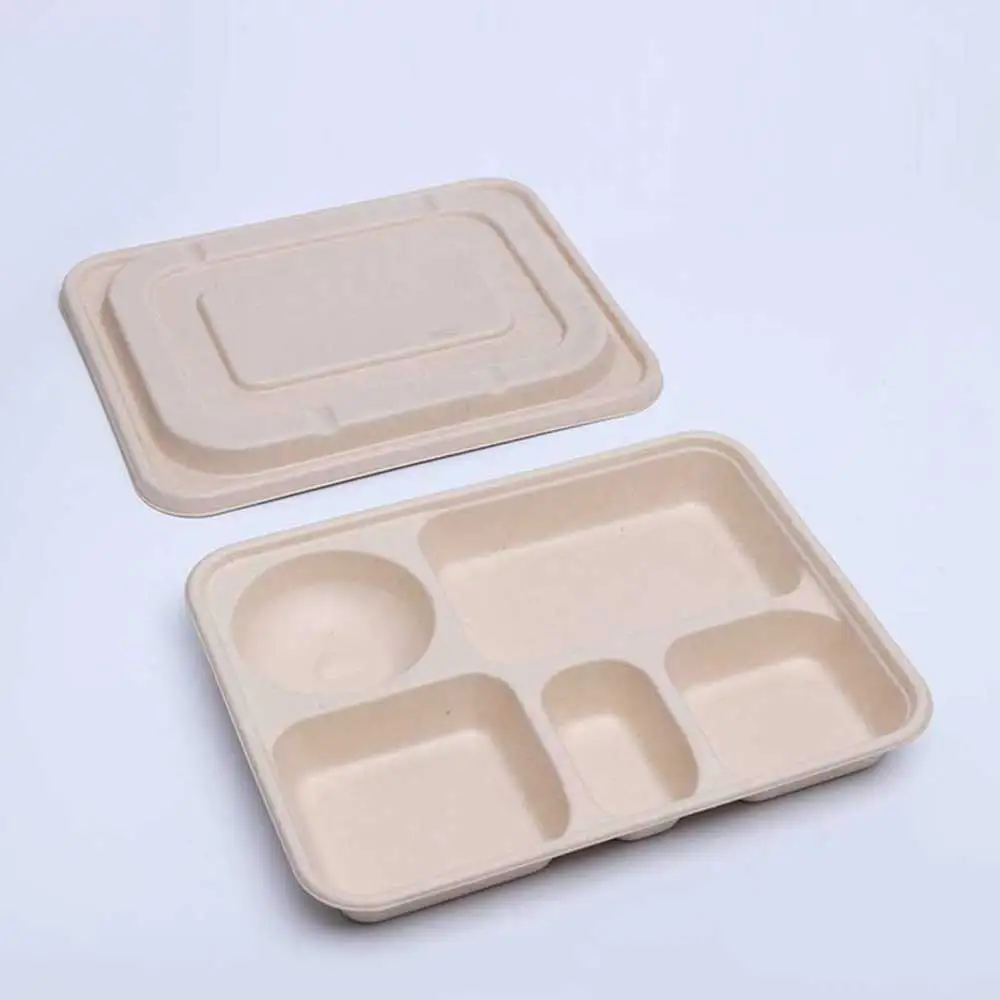 Disposable rectangular top grade Biodegradable food storage pulp packaging box