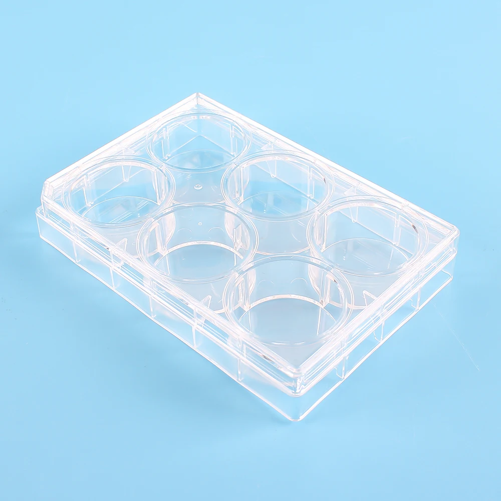 6 wells 96 well blood cell tissue culture media plate plastic container lab supplies