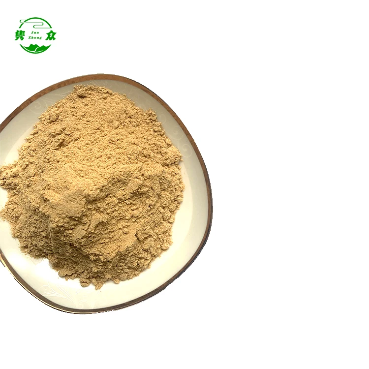 China Manufacturer Active Dry Beer Yeast Saccharomyces Cerevisiae Powder