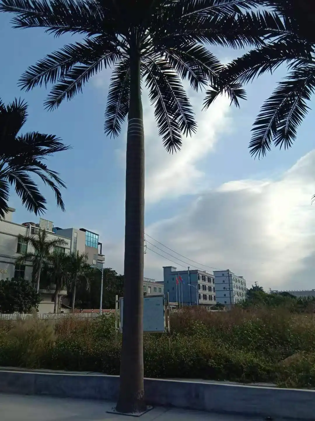 Factory Customized High Simulation Large Fake Plant Handmade Tropical Artificial New Style Hawaii Coconut Palm Tree For Outdoor