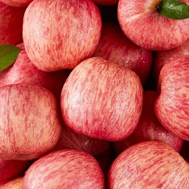 2024 Лучшая цена Фудзи яблочный продукт свежие яблоки