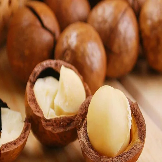 Factory Price Macadamia Nuts Wholesale Roasted Macadamia Nuts with fast delivery
