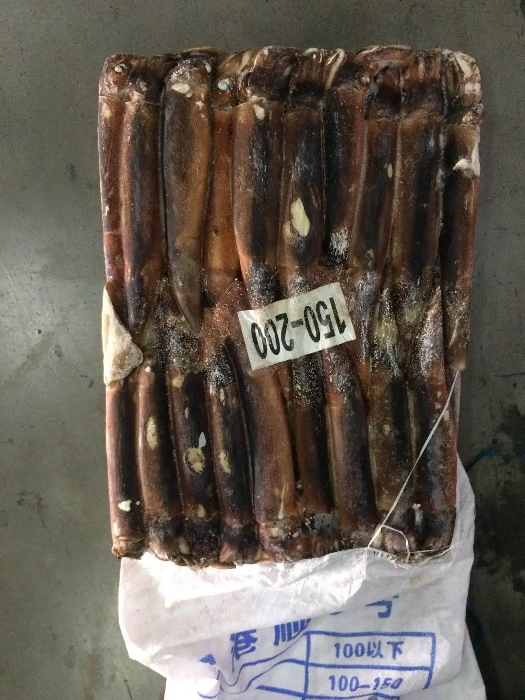 SANFENG SEAFOOD Frozen Argentine Squid illex squid