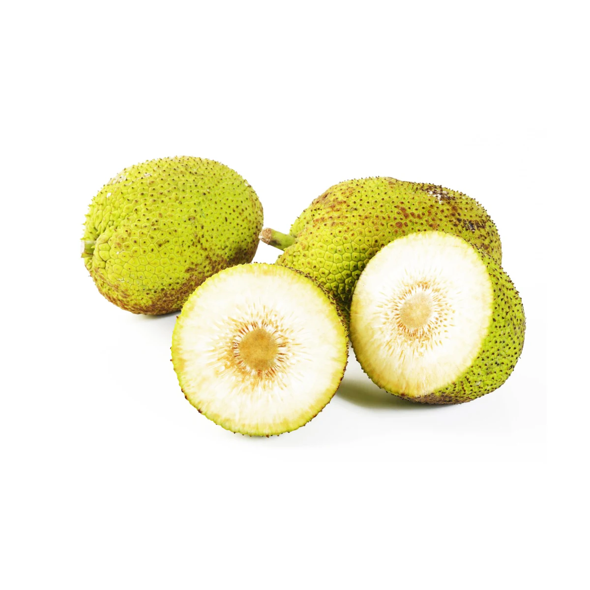 Samoan Gluten free Flour Breadfruit High Quality Flour