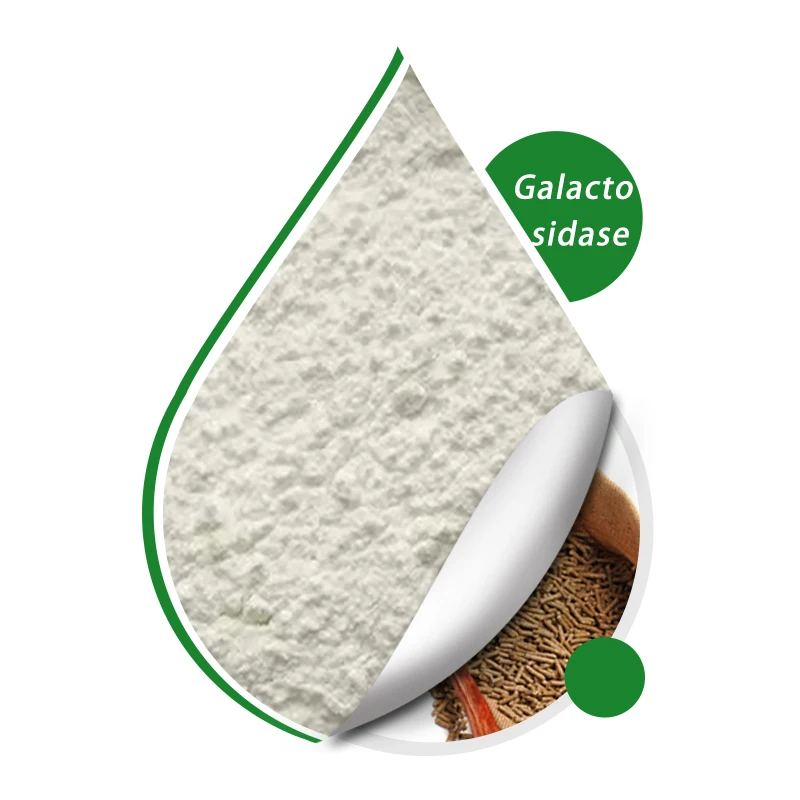 High Purity Alpha Galactosidase Enzyme Powder Cas 9025-35-8 For Feed Made In China