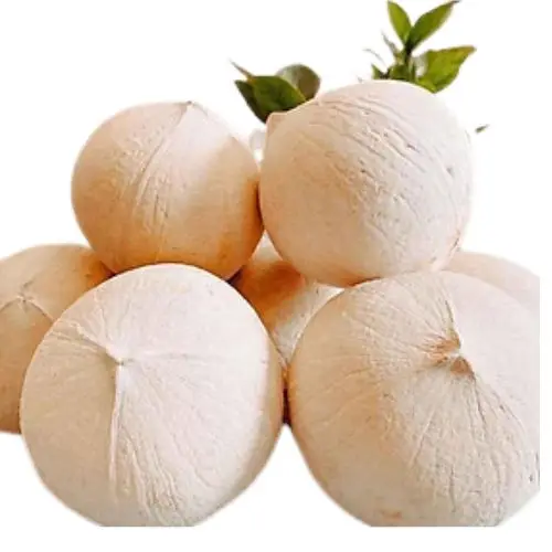 Siamese Coconut   Competitive price in the export market in 2022 with high product quality